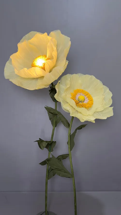 Giant Pale Yellow Flowers