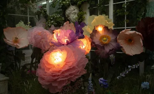 Giant Night Flowers On-Site