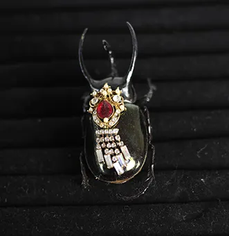 Atlas Beetle with Red Rhinestone