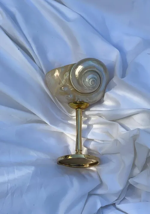 Shell Goblet