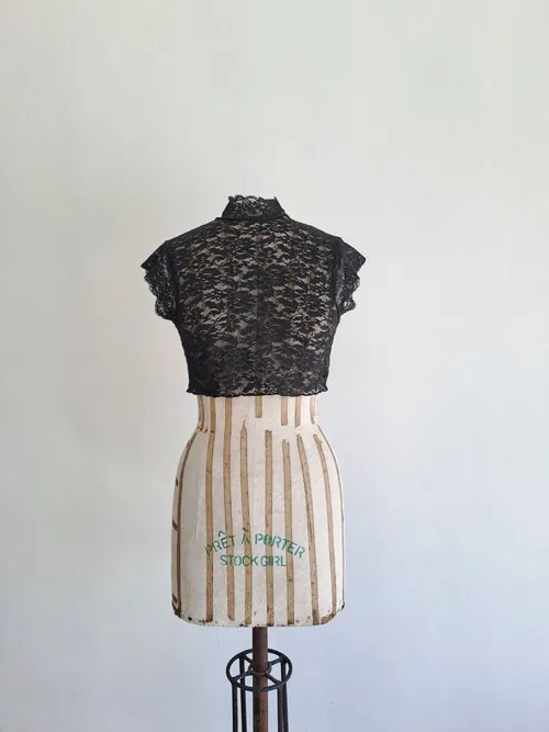 Black Sheer Crop Top 