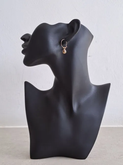 Small Hoop Earrings with Pendant