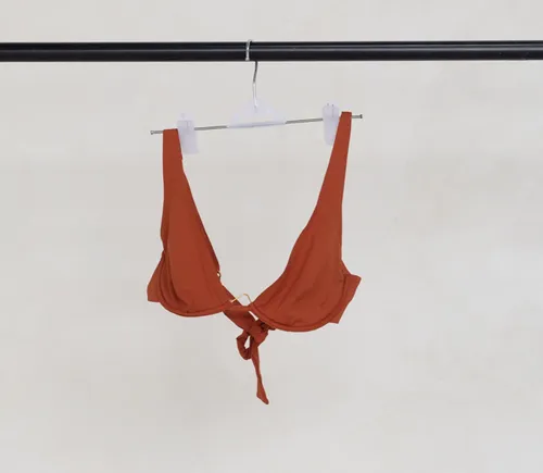 Burnt Orange Bikini (Set)