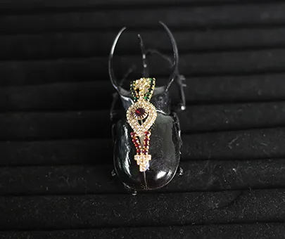 Atlas Beetle with Rhinestones