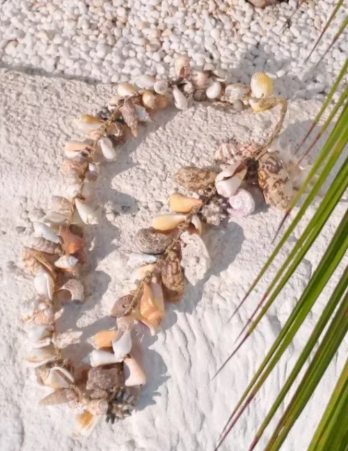 Big Shells Necklace