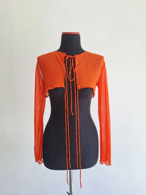 Orange Sheer Crop Top 