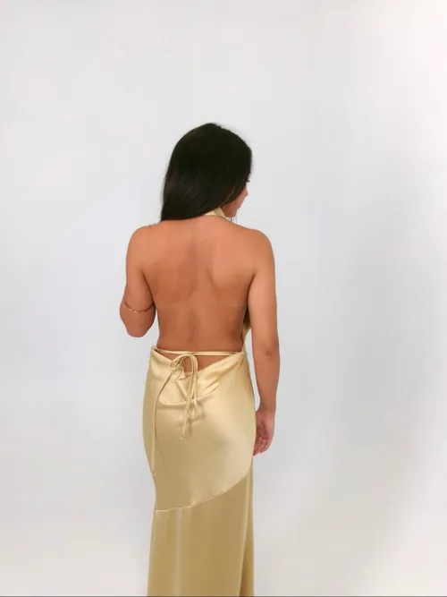 Danielle gown 