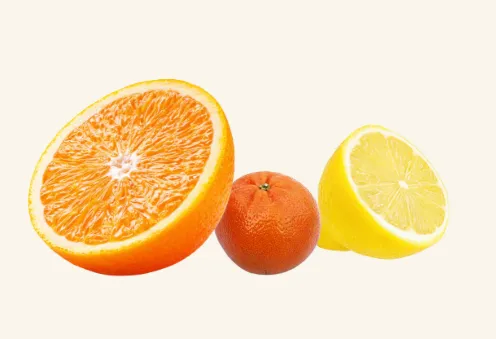 Citrus Fruit Styling