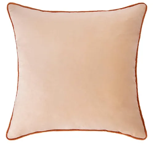Velvet Decorative  Throw Pillow