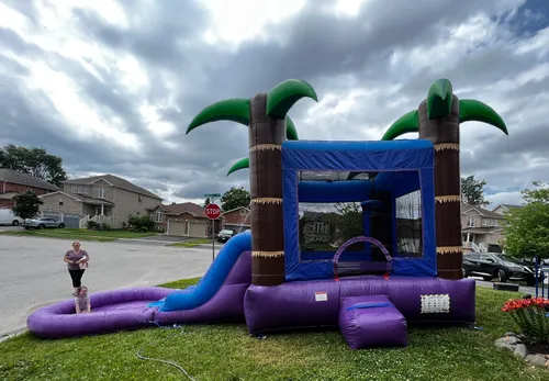 Rainforest Bounce - 0004