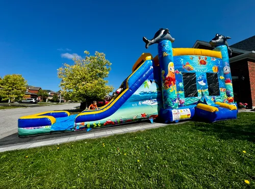 Under The Sea - 0021