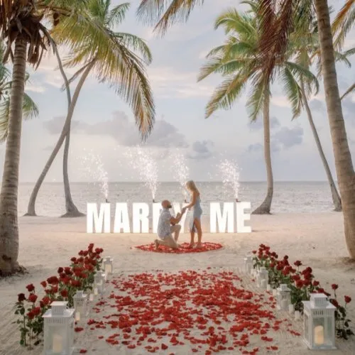 Wedding Proposal Package