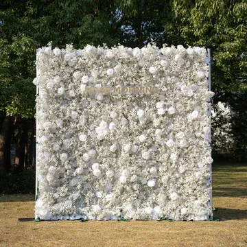 BD1 8ftx8ft white rose & baby's breath