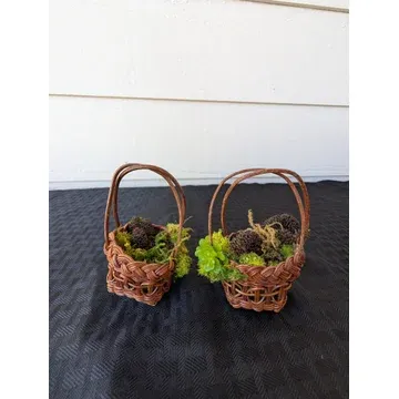 BBP3 Moss ring basket