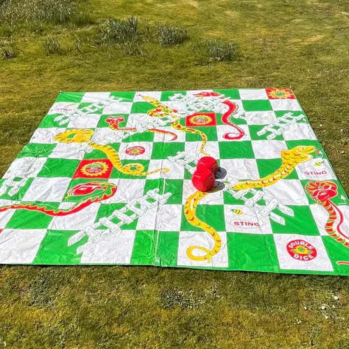 Giant Snakes and Ladders, with 2 dice