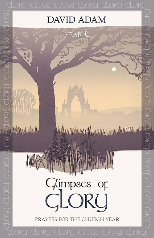 Glimpses of Glory Year C
