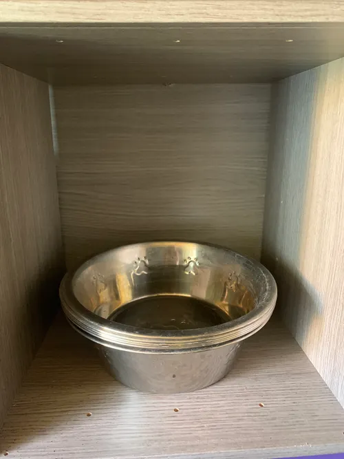 Dog Water Bowl