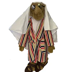 Puppet: Colin the camel 