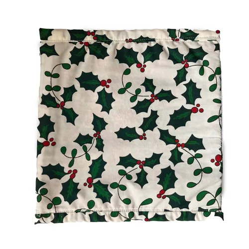 Story bag: The holly and the ivy