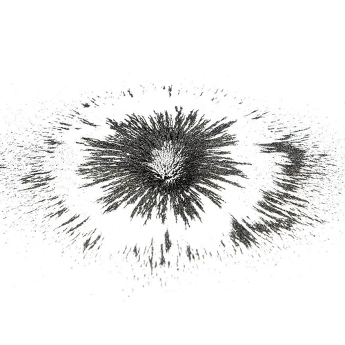 Physics-Iron Filings