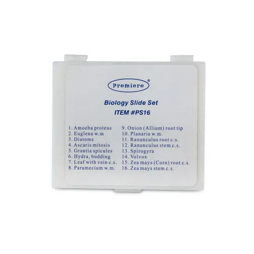 Slides- Roots, corn and ranunculus