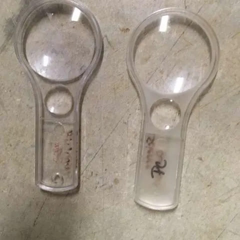 Equipment/Lab: Magnifying Glasses, small plastic