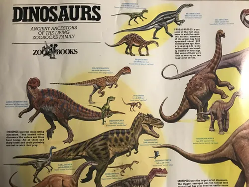 Posters: Dinosaurs Ancient Ancestors, Zoobooks