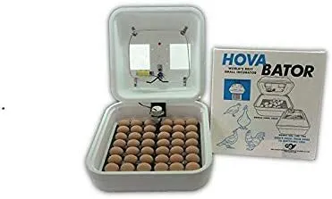 Equipment/Lab: Incubator (Hova-Bator) Model 1602N