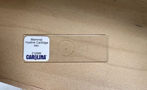 Slides-Mammal Hyaline Cartilage Sec. 