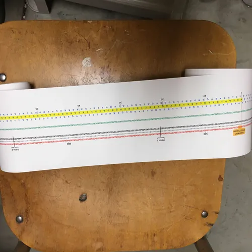 Molecular Biology-Phenylalanine Hydroxylase Gene Map