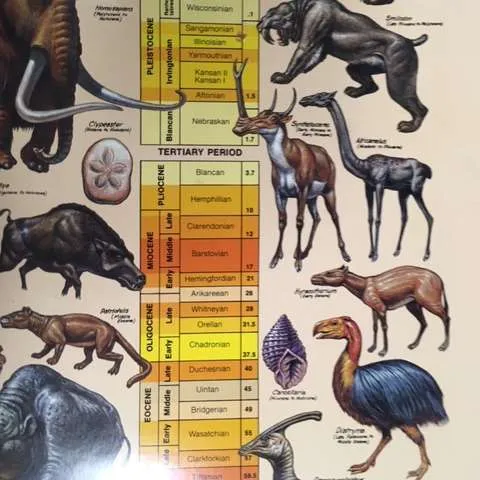 Posters-Geological Time and the History of Life in North America