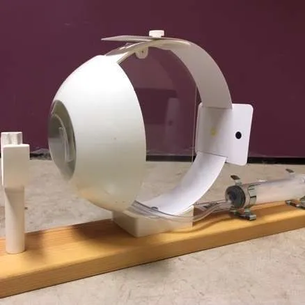 Models-Eye Model, Functional