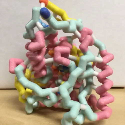 Models-Phenylalanine Hydroxylase protein structure model