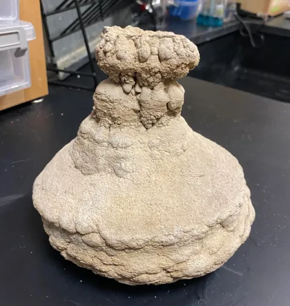 geyersite (hot spring rock)