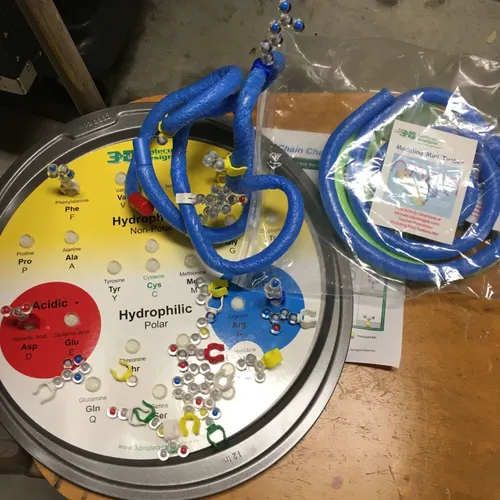 Models-Amino Acid Starter Kit, Protein Modeling