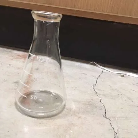 Equipment/Lab-Erlenmeyer Flasks (125 mL)