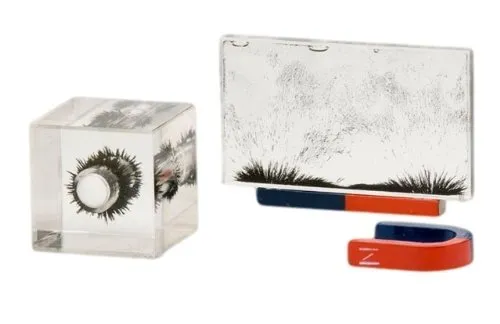 Physics-Magnetic Lines of Force Demo Set