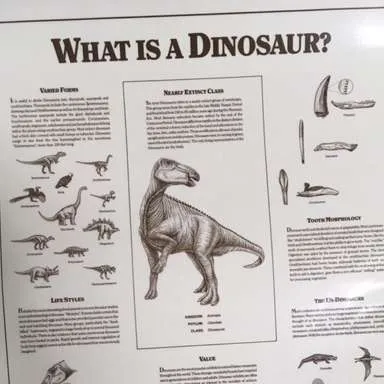 Posters-Dinosaur What is Dinosaur?