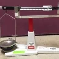 Equipment/Lab Hanging Pan Balance