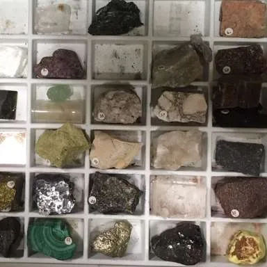 Geology-Mineral Collection, Ward's