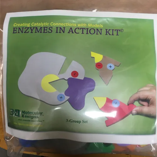 Molecular Biology-Enzymes in Action Kit