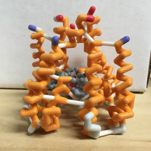 Models-Sodium Channel protein structure model