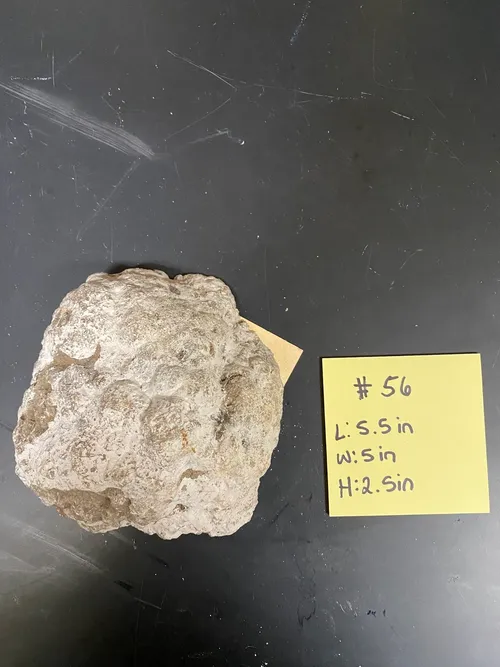 Crater Two The Moon Fossil