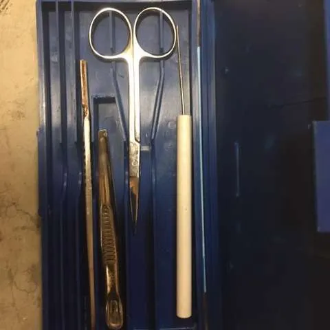 Equipment/Lab: Dissection Kits