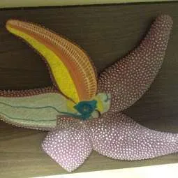 Models-Starfish
