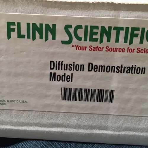 Models-Diffusion Demonstration