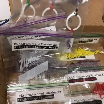 Models-DNA Structure and Function Kit