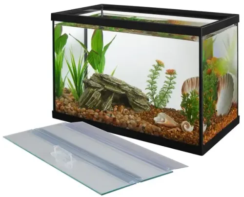 fish tank