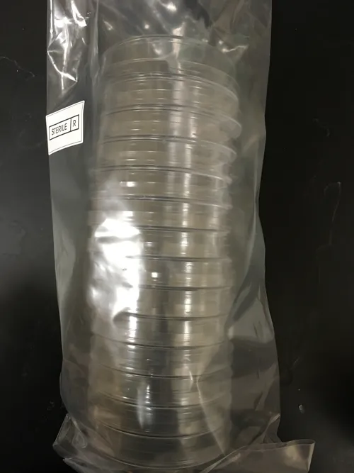 Equipment/Lab-Petri Dishes, Regular size