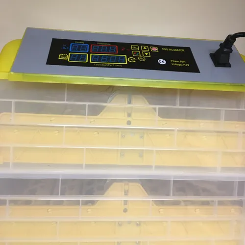 Equipment/Lab-Egg Incubator